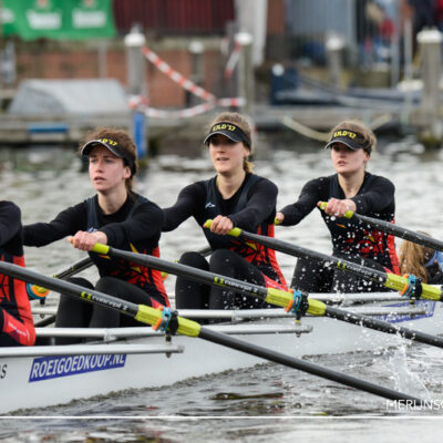 H4K17-5198